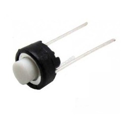 Push Button Switch (2PIN) Robotics Bangladesh