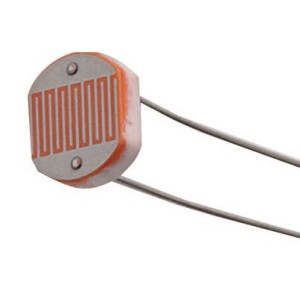 LDR 10-12 mm Light Depending Resistor Robotics Bangladesh