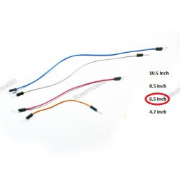 6.5 inch Jumper Wire (Pack of 2) Robotics Bangladesh