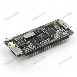LILYGO® TTGO T8 ESP32-S2 V1.1 WIFI Wireless Module Type-c Connector TF Card Slot Development Board Robotics Bangladesh