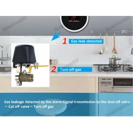 Smart Gas Leak Detector Tuya Wifi Smart Natural Gas Alarm Sensor with LCD Display Robotics Bangladesh