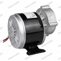 Brushed DC Motor 12V 250W Gear Reduction Motor for E-bike Wheelchair Robot Robotics Bangladesh