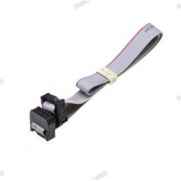 Flat Ribbon 2.54MM Pitch FC-8 JTAG ISP AVR Data Cable 20cm 8 Pin Robotics Bangladesh