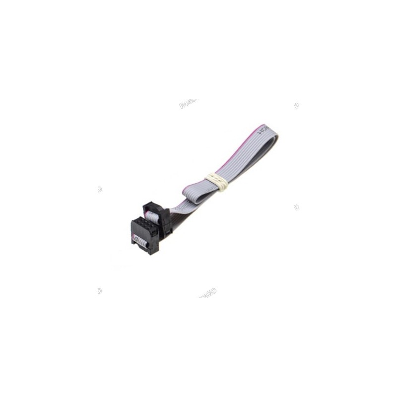 Flat Ribbon 2.54MM Pitch FC-8 JTAG ISP AVR Data Cable 20cm 8 Pin Robotics Bangladesh Flat Ribbon 2.54MM Pitch FC-8 JTAG ISP AVR Data Cable 20cm 8 Pin Robotics Bangladesh