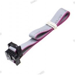 Flat Ribbon 2.54MM Pitch FC-10 JTAG ISP AVR Data Cable 20cm 10 Pin Robotics Bangladesh