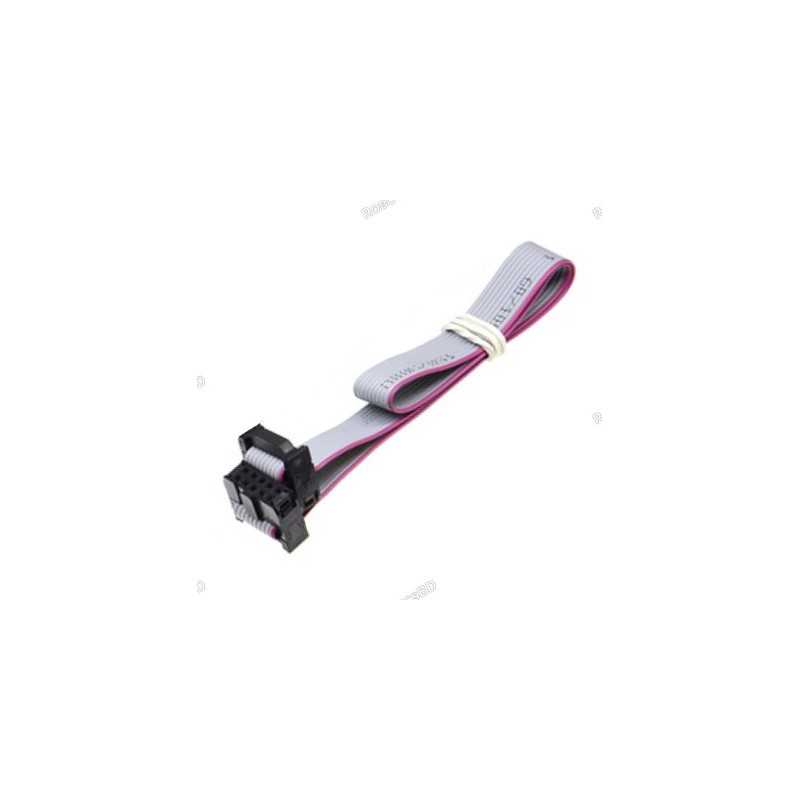 Flat Ribbon 2.54MM Pitch FC-10 JTAG ISP AVR Data Cable 20cm 10 Pin Robotics Bangladesh Flat Ribbon 2.54MM Pitch FC-10 JTAG ISP AVR Data Cable 20cm 10 Pin Robotics Bangladesh
