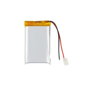 Lithium Ion Battery - 1000 mAh 3.