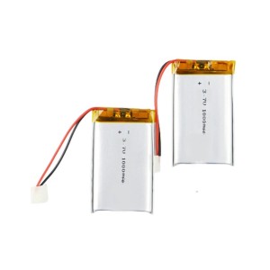 Lithium Ion Battery - 1000 mAh 3.