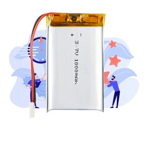 Lithium Ion Battery - 1000 mAh 3.
