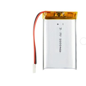Lithium Ion Battery - 1000 mAh 3.