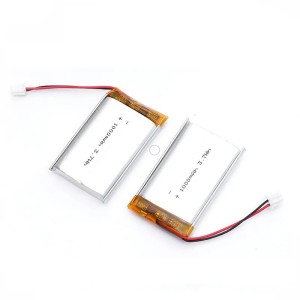 Lithium Ion Battery - 1000 mAh 3.