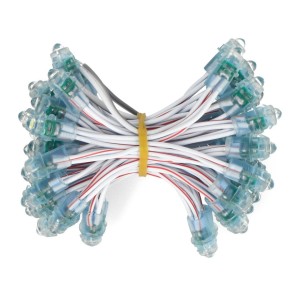 12V Pixel chain - 25x LED 5mm Blue Robotics Bangladesh