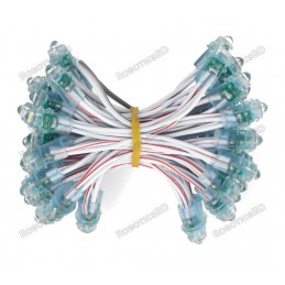 12V Pixel chain - 25x LED 5mm Green Robotics Bangladesh