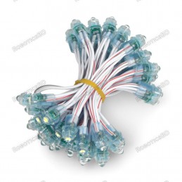 12V Pixel chain - 25x LED 5mm Green Robotics Bangladesh