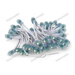 12V Pixel chain - 25x LED 5mm Blue Robotics Bangladesh