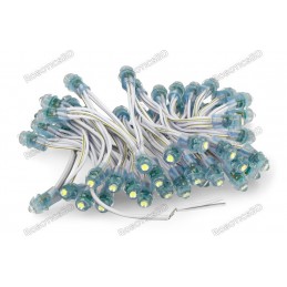 12V Pixel chain - 25x LED 5mm Yellow Robotics Bangladesh