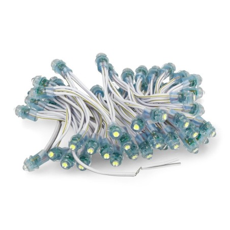 12V Pixel chain - 25x LED 5mm Yellow Robotics Bangladesh