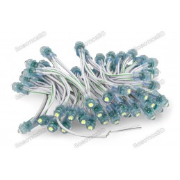 12V Pixel chain - 25x LED 5mm Green Robotics Bangladesh