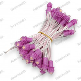 12V Pixel chain - 25x LED 5mm Purple Robotics Bangladesh