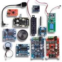 Audio, Voice & Speech Module